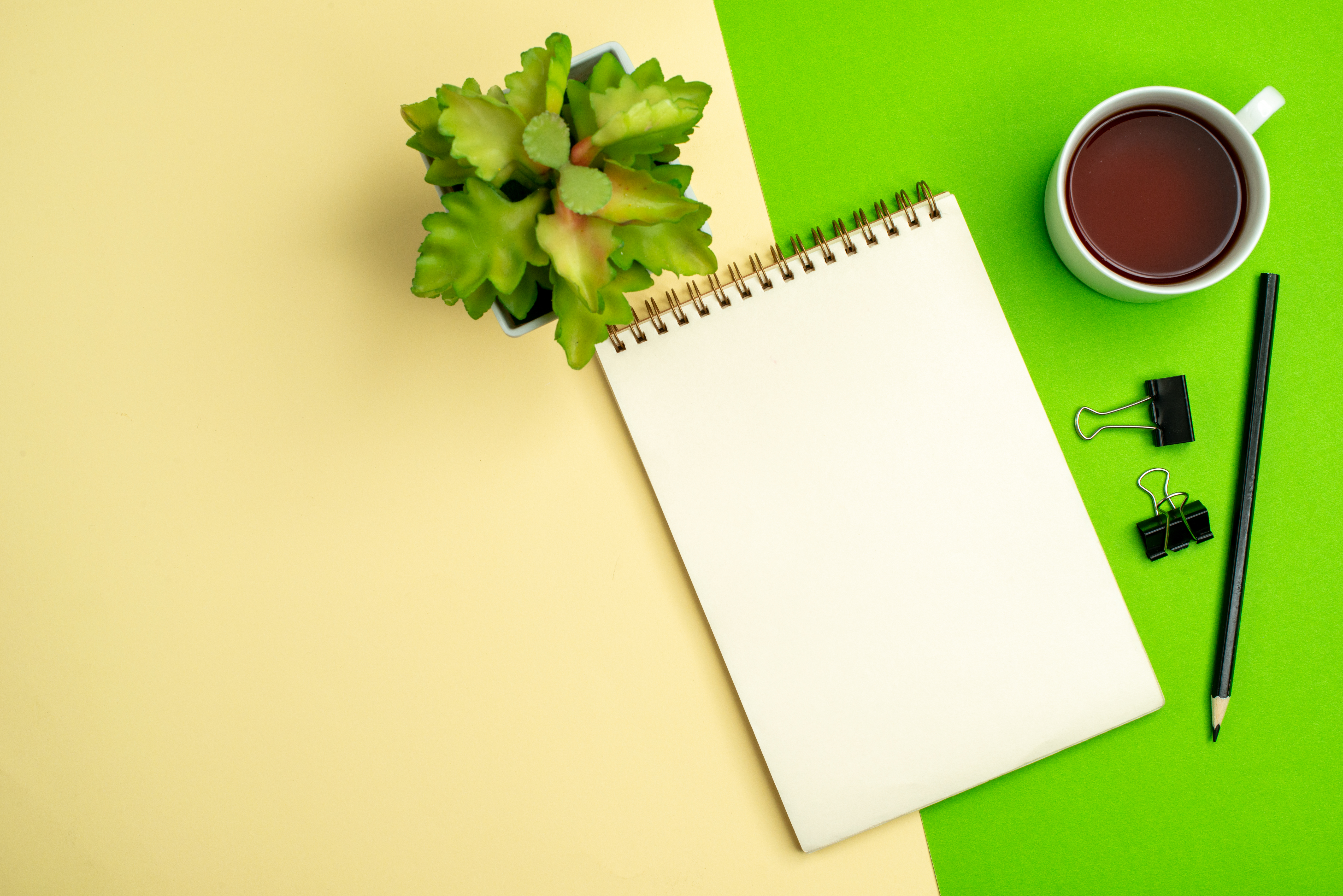 Blog Your Translator